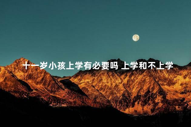 十一岁小孩上学有必要吗 上学和不上学是一样吗